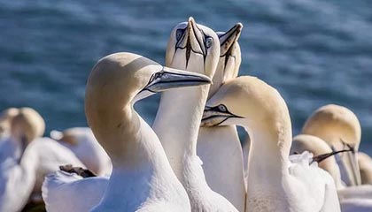 AYX官网-赛程密集导致伤病高发是否影响排名波动趋势