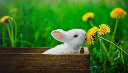 爱游戏体育app-曼城对尤文的胜利强化其世俱杯头号竞争者地位，曼城尤文最新比赛