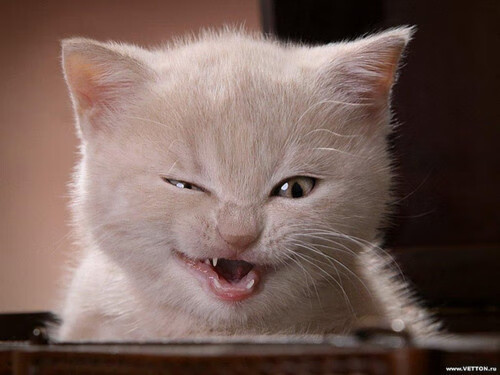 科比贡献：一个时代的伟大与拼搏精神的象征，科比为nba的贡献有哪些