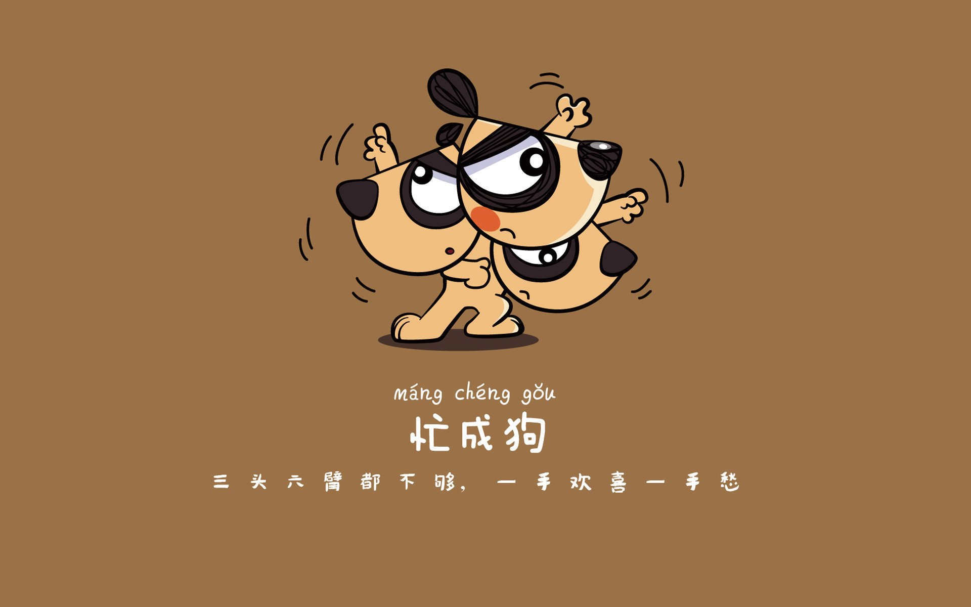 葡萄牙马术协会建立马匹基因数据库，促进马匹选育与训练。，葡萄牙马夫拉宫