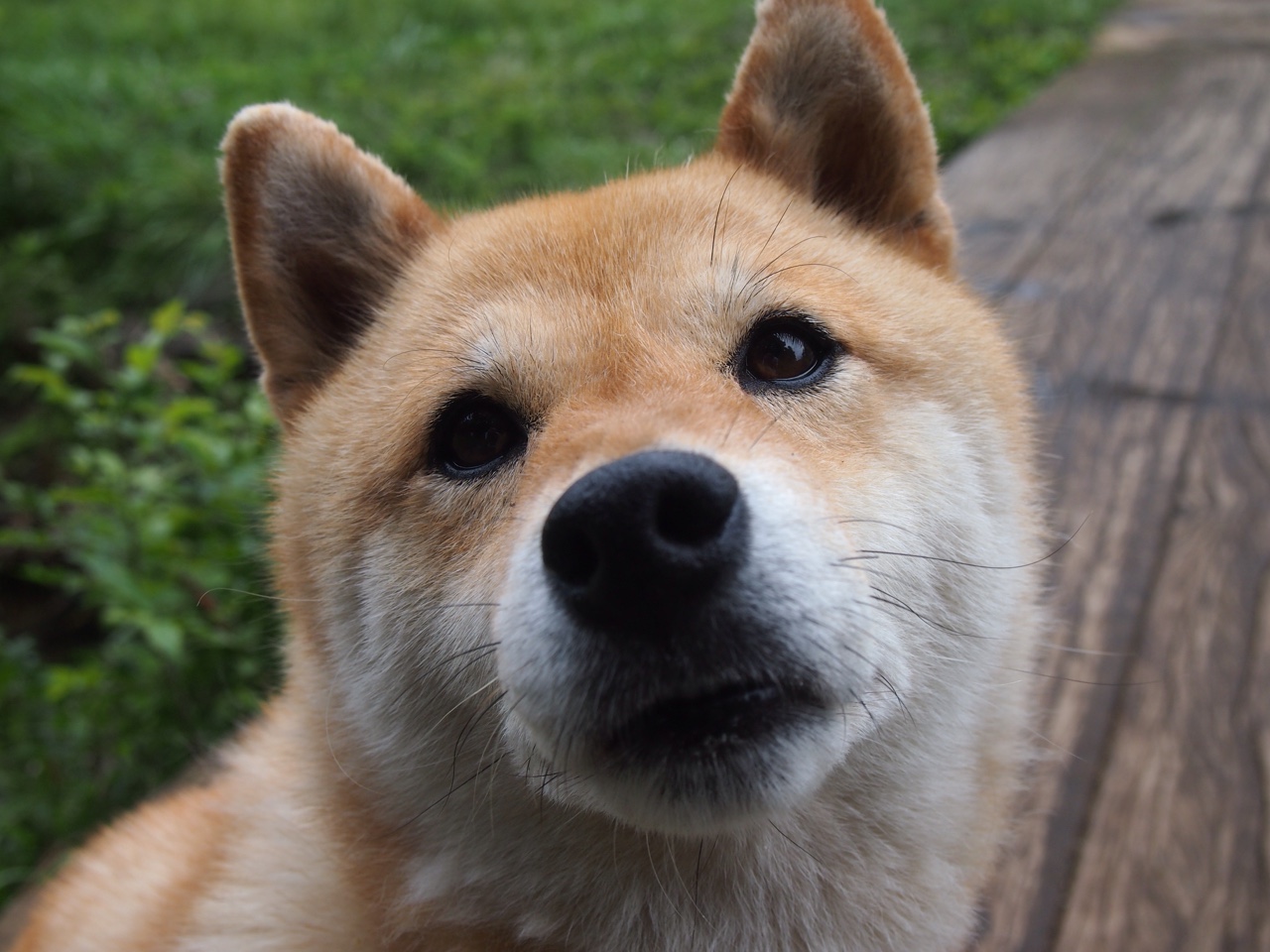 AYX GAMING-中国女篮提升内线轮转速度，中国女篮提升内线轮转速度最新消息