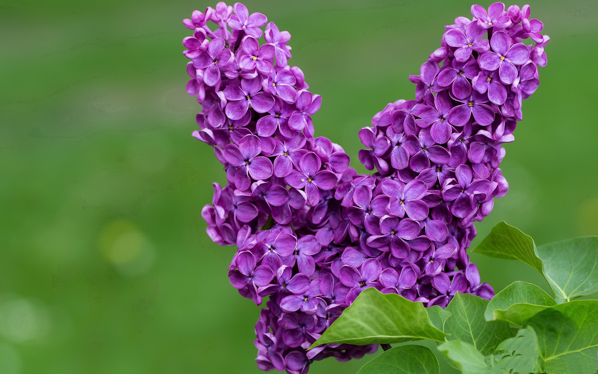 主教练在战术板上是否需要规划节奏节点,教练在布置战术时讲到了常用的比赛阵型