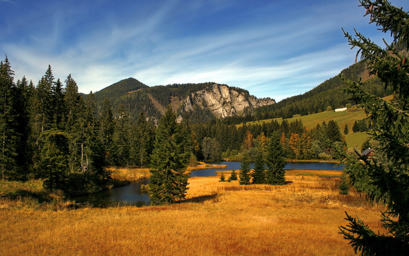 主教练在战术板上是否需要规划节奏节点,教练在布置战术时讲到了常用的比赛阵型