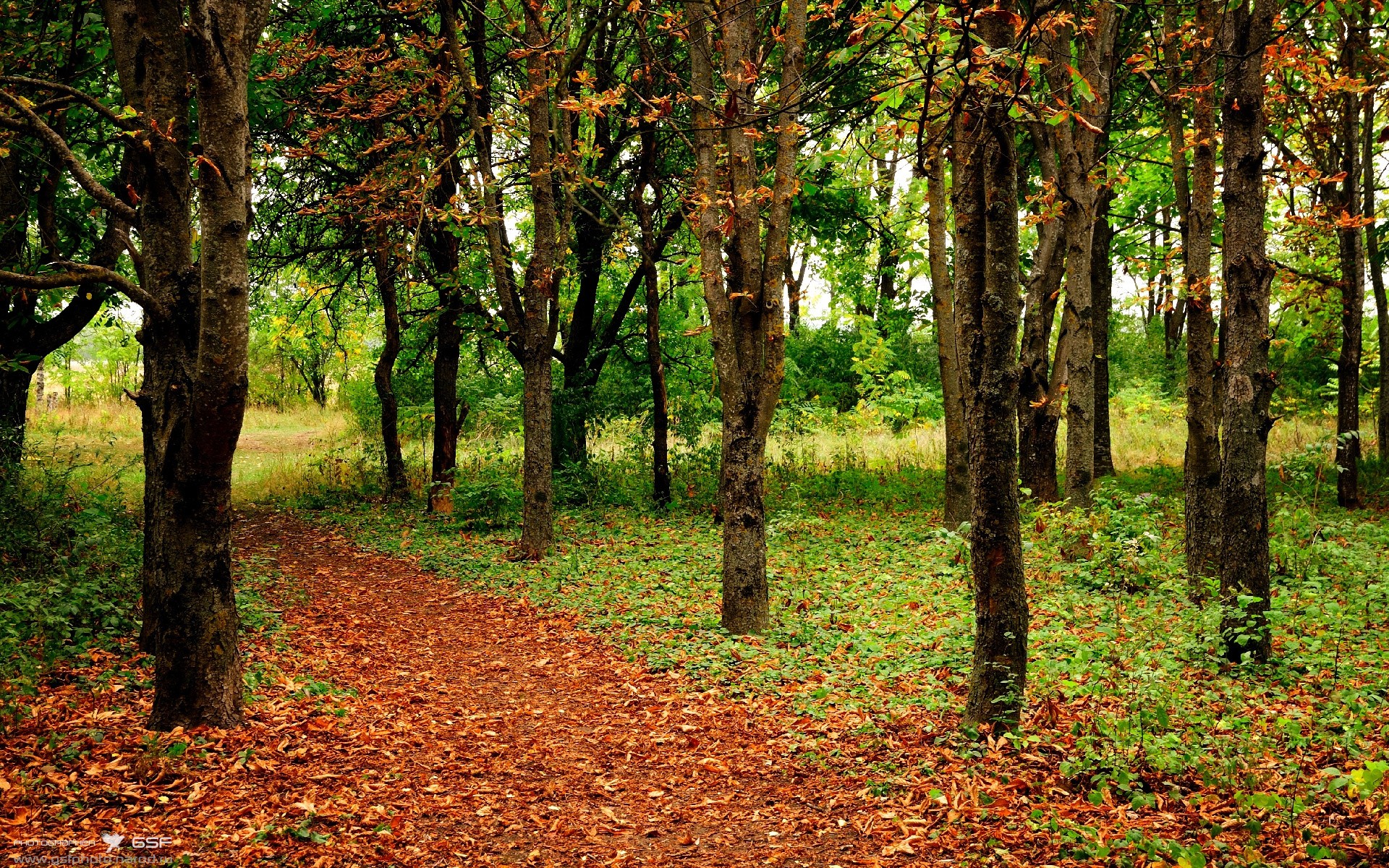 拳击比赛夜场灯光秀引爆全场气氛,拳击夜店