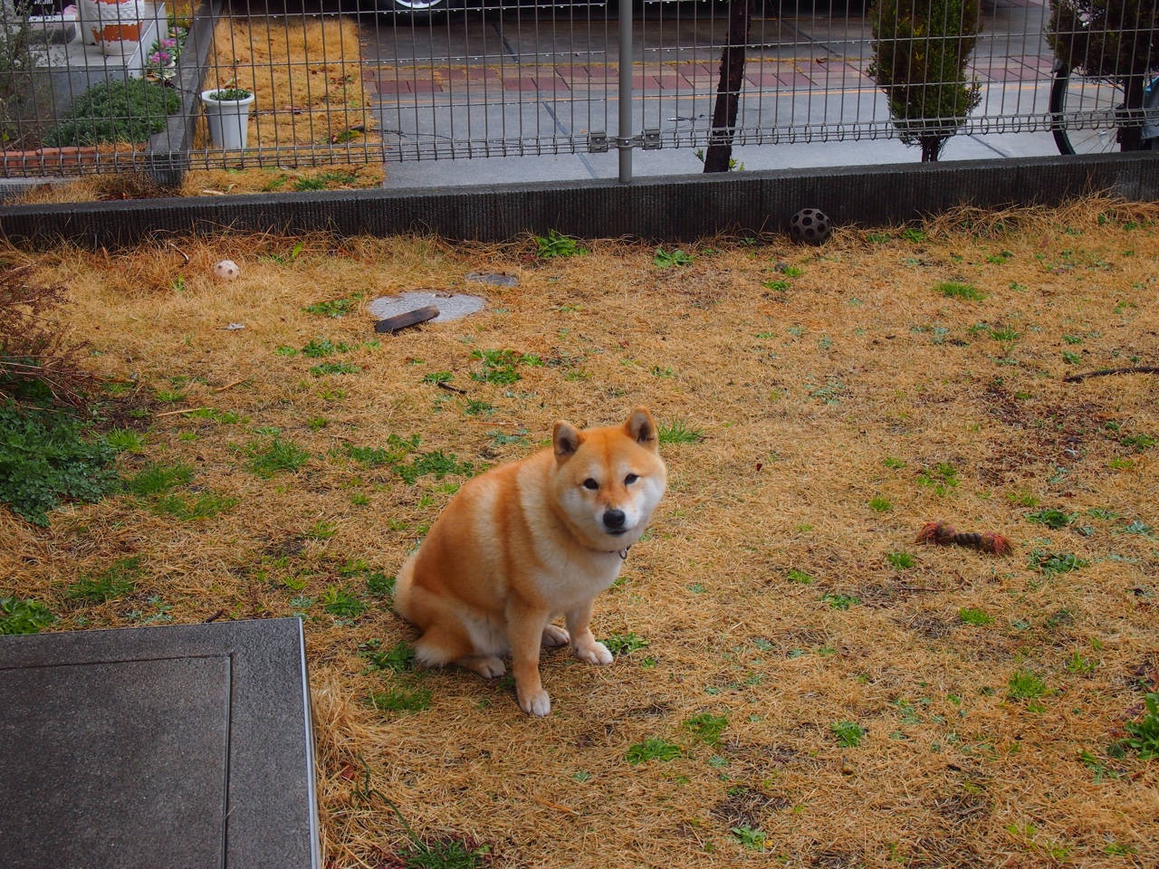 赛后图赫尔称赞球队精神力和执行力,图赫尔现在在哪儿教练