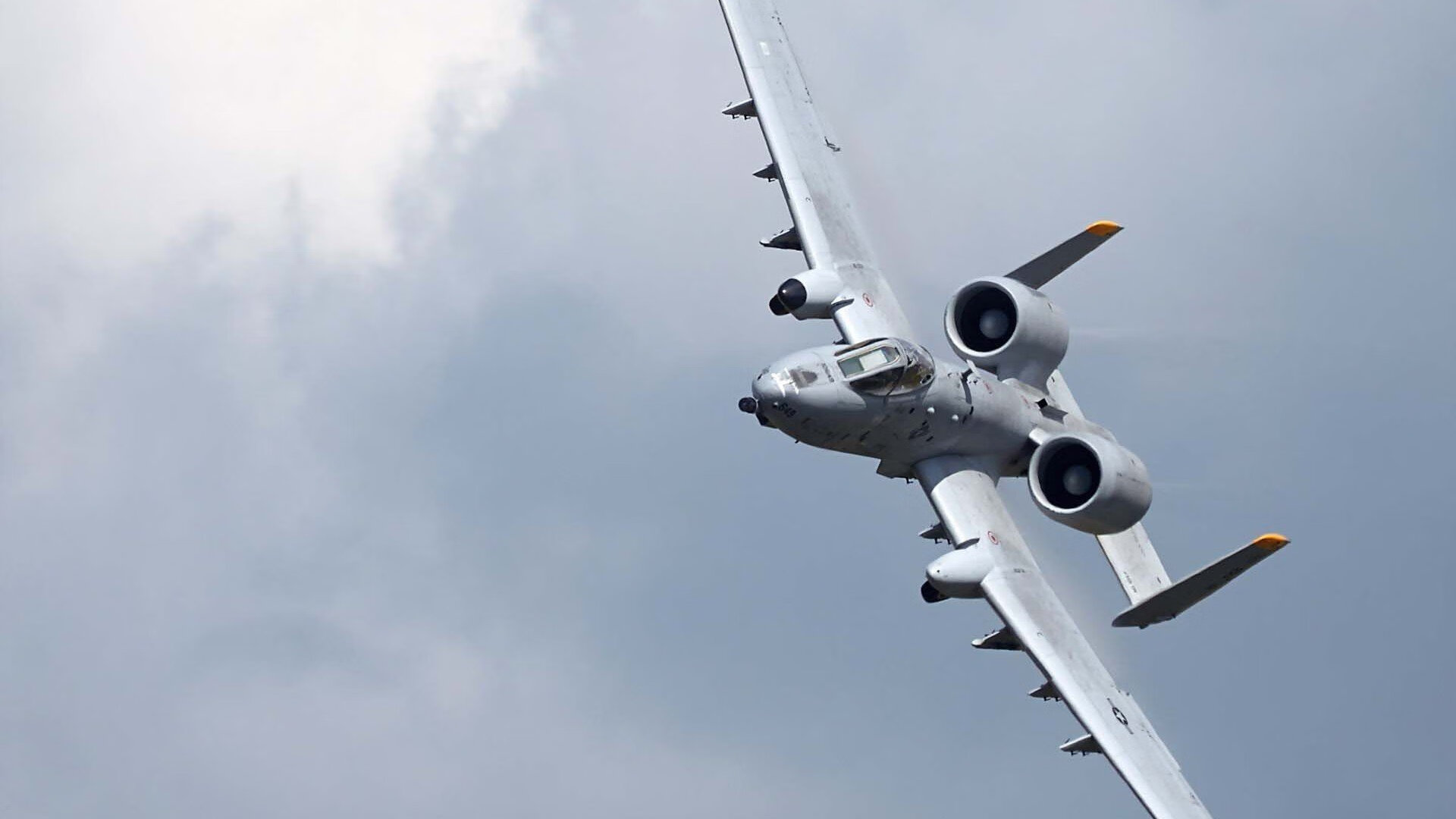 “南非羚羊队的防线支柱:埃尔斯·霍斯特的不可替代性”