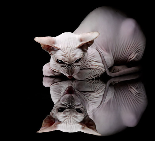 体育馆照明系统升级提升观众体验,体育馆照明用什么灯具