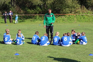 爱游戏下载-南非混合泳团队战术引热议，南非的混合农业