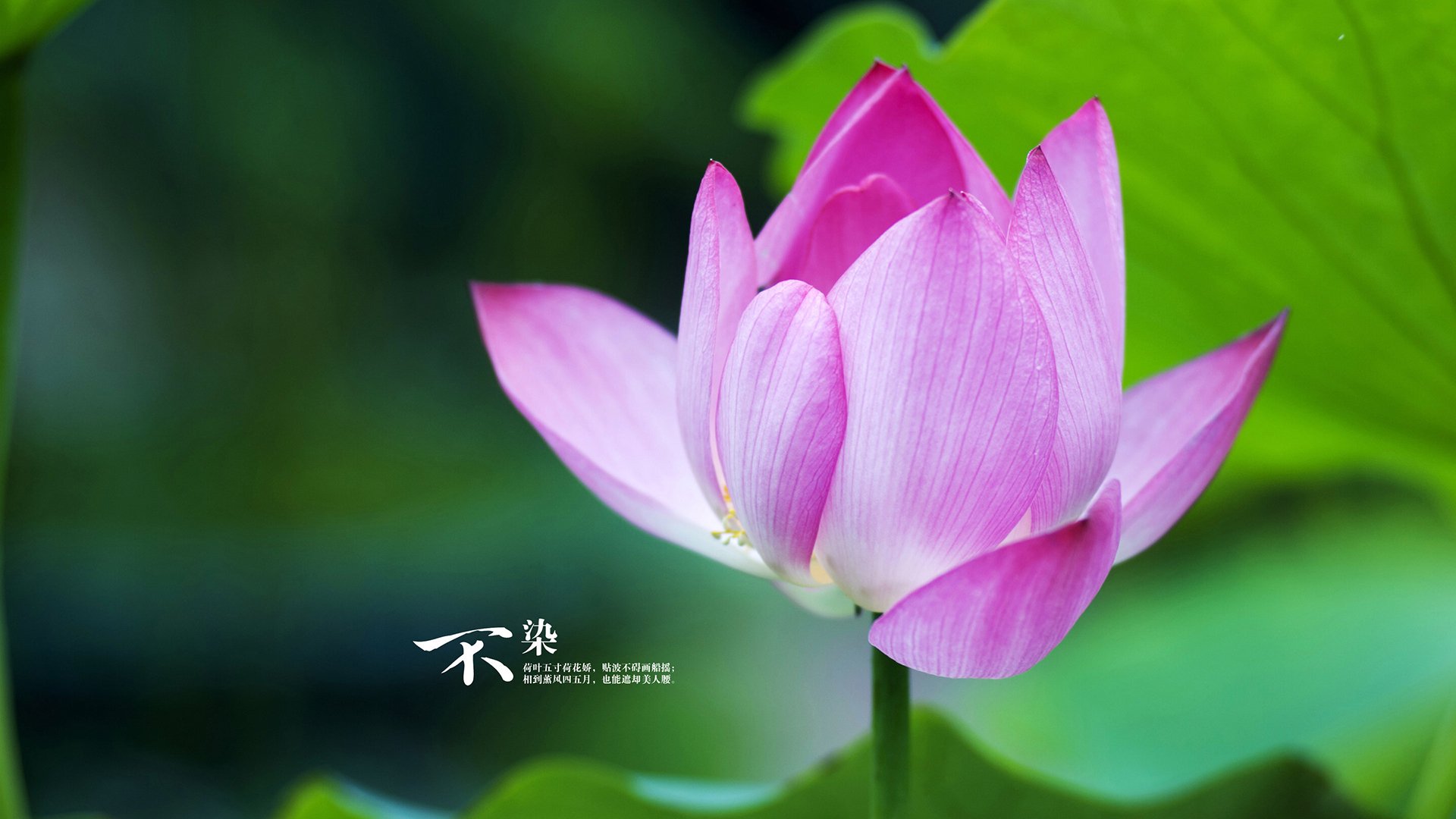 爱游戏在线登录入口-地方体育局与足协合作推动青训资源下沉到基层，足协每年给体育总局多少钱