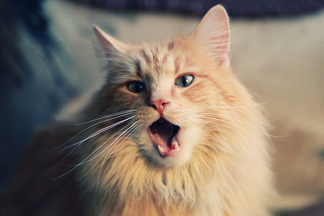 爱游戏中国官方登录入口网站-字母哥继续保持两双状态稳定输出，字母哥将伤停两场