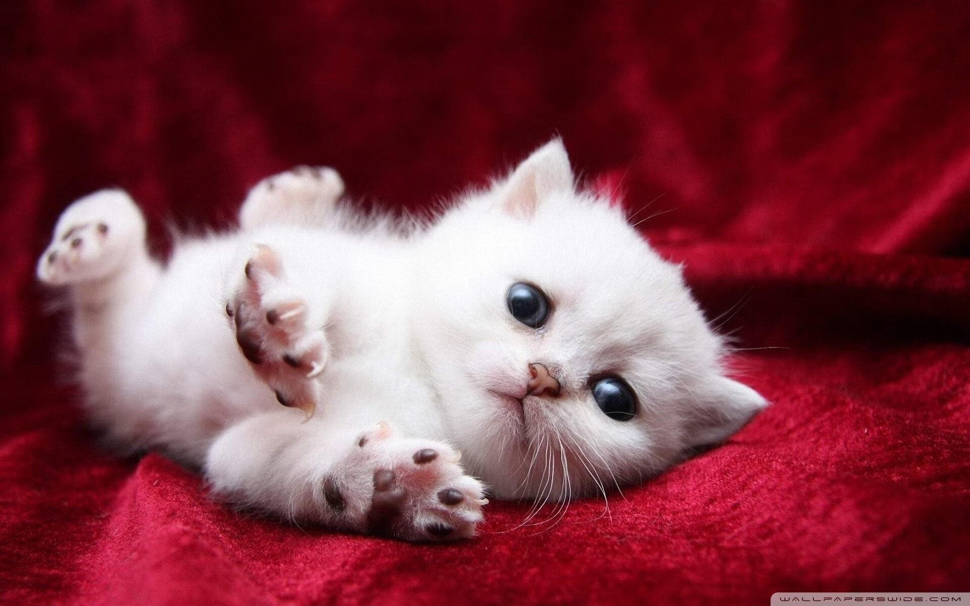 AIYOUXI.COM-法甲战术布局：变阵奇兵改变战局，法甲变天